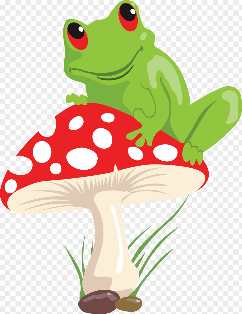 Lying On The Red Mushroom Frog Lithobates Clamitans Illustration PNG
