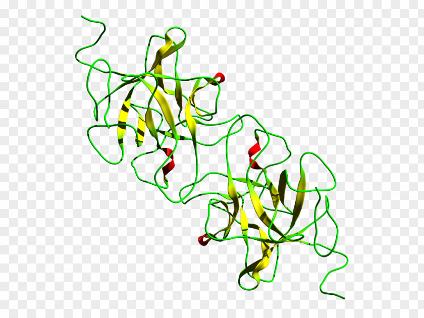 Miracle Fruit Miraculin Curculin Glycoprotein Brazzein PNG