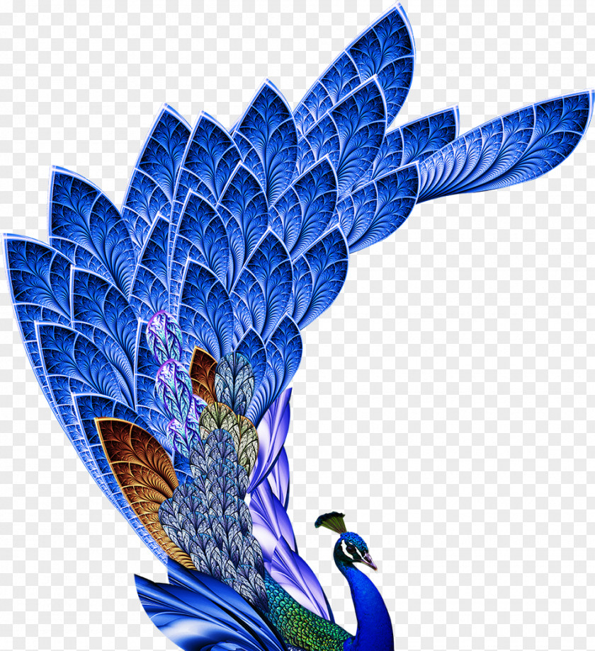 Peacock Bird Wedding Invitation Napkin Paper Feather PNG