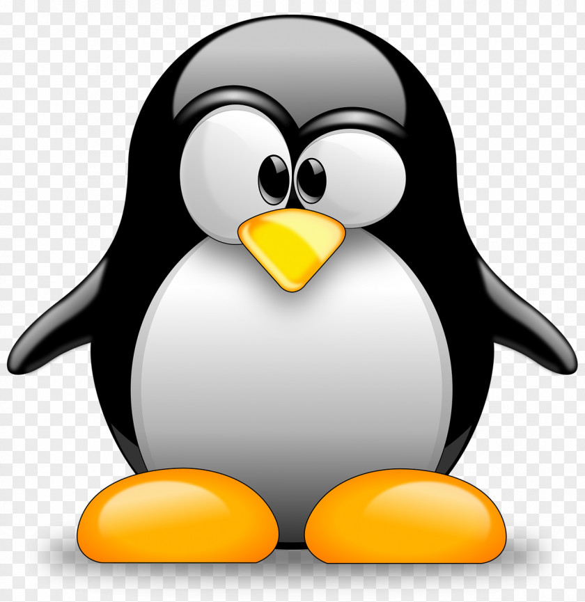 Penguins Tux Racer Penguin Linux PNG