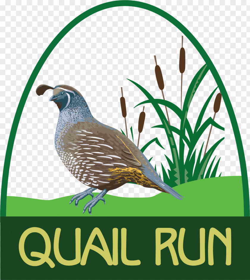 Quail Richland Center Run Golf Links Course County Highway Y PNG