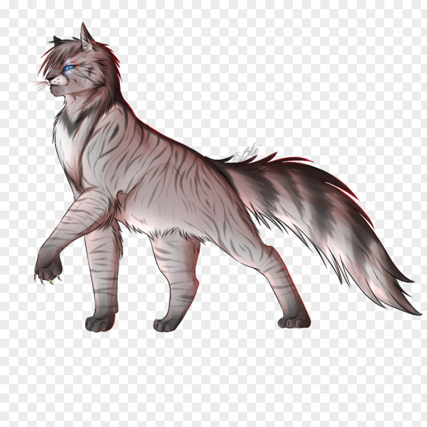 Silverhawk Whiskers Wildcat Norwegian Forest Cat Warriors Drawing PNG