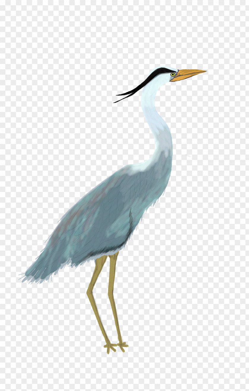 Bird Great Blue Heron Egret Pelican PNG