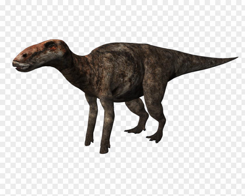 Dinosaur Tyrannosaurus Pachyrhinosaurus Edmontosaurus Annectens Cryptoclidus PNG