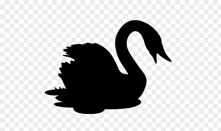 Duck Goose Swans Clip Art Fauna PNG