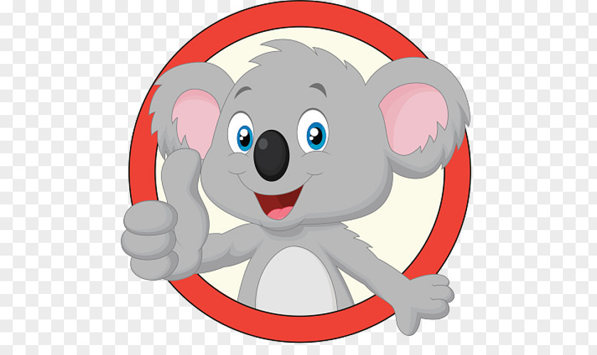 Koala Bear Cartoon PNG