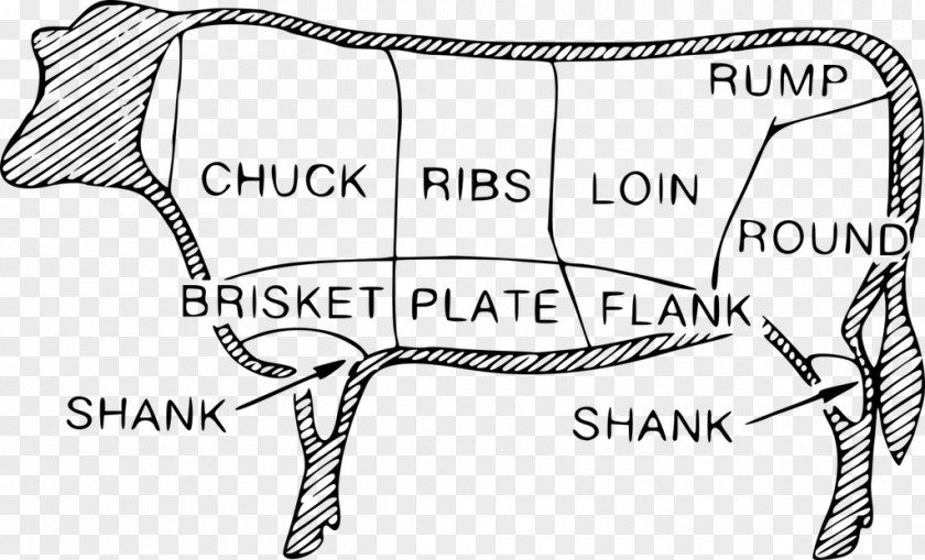 Line Art Text Angus Cattle PNG