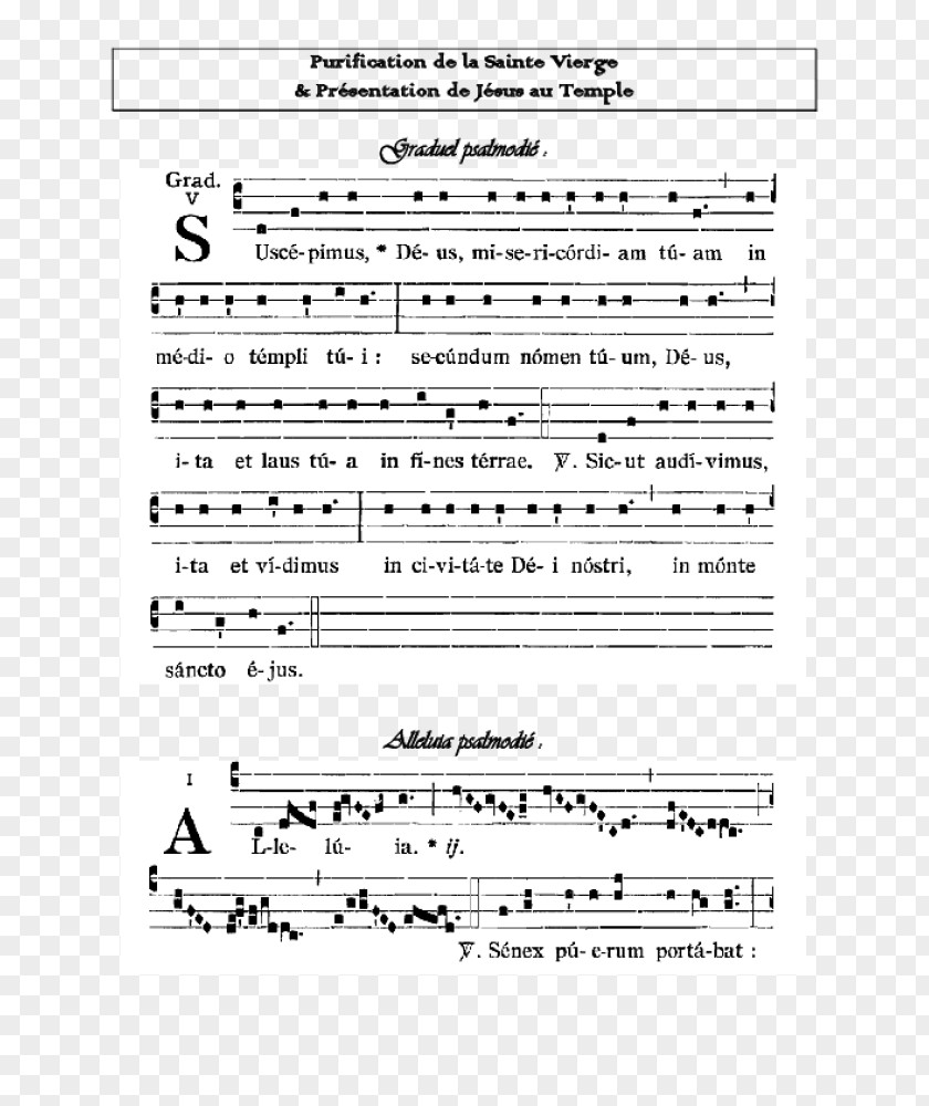 Sheet Music Line Angle Document PNG Document, sheet music clipart PNG