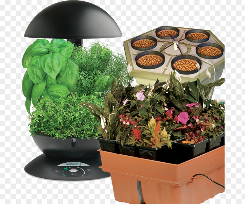 Small Indoor Grow Boxes Hydroponics Miracle-Gro AeroGarden Gourmet Herb Seed Pod Kit Flowerpot Aeroponics PNG