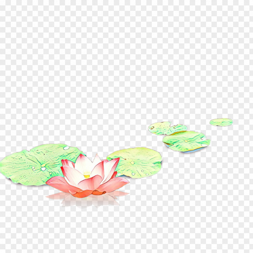 Baby Toys Petal PNG