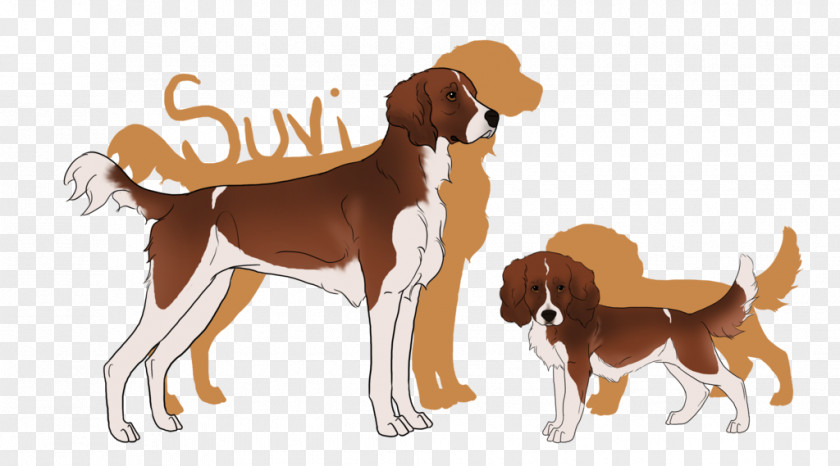 Dog Breed English Foxhound American Beagle Koolie PNG