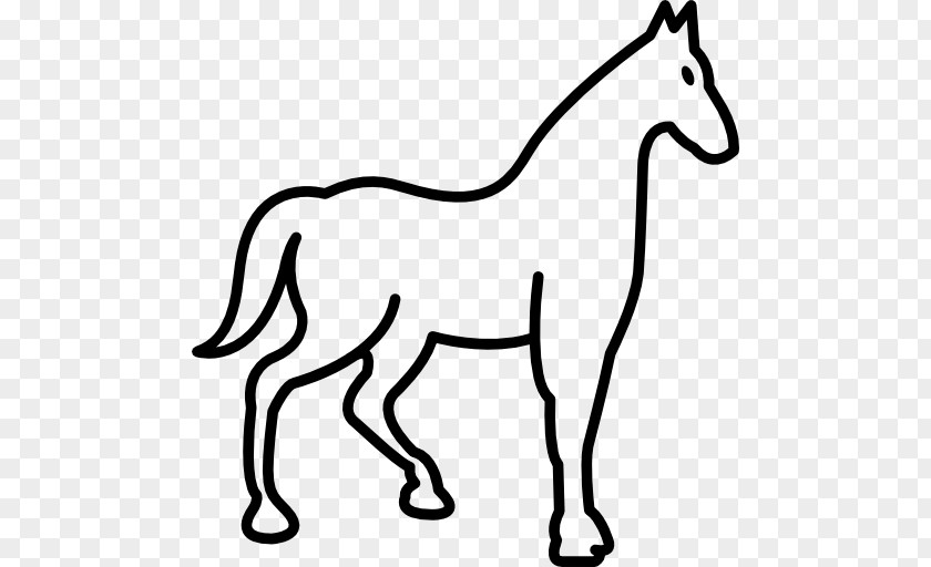 Race Horse Thoroughbred Racing Equestrian Mare PNG