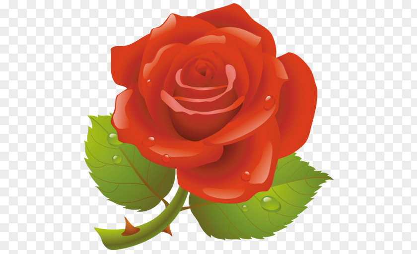 Valentine's Day Red Valentines Rose Clip Art PNG