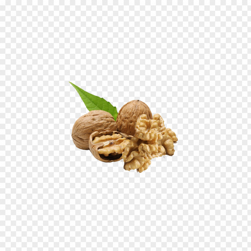 Walnut English Nuts Auglis PNG