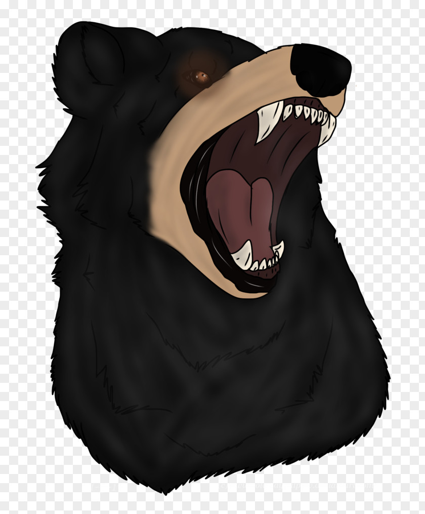 Bear Gray Wolf Wacom Drawing People Are Crazy PNG