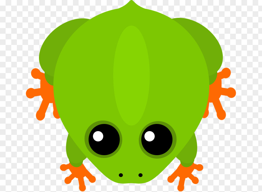 Frog Tree True Design Inc. Animal PNG