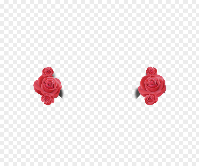 Rose Decorative Patterns Download Computer File PNG