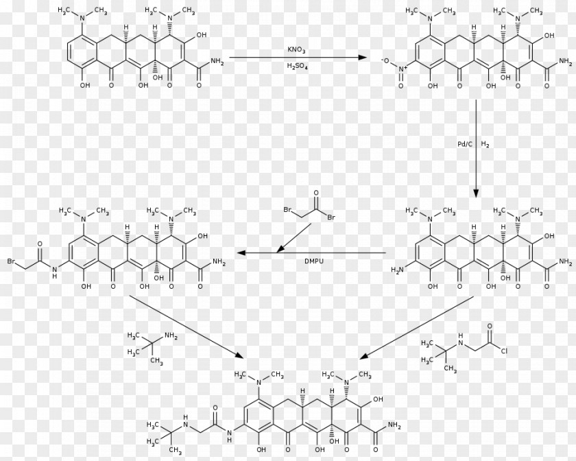 Synthesis Rhododendron Chemistry Tigecycline Structure PNG