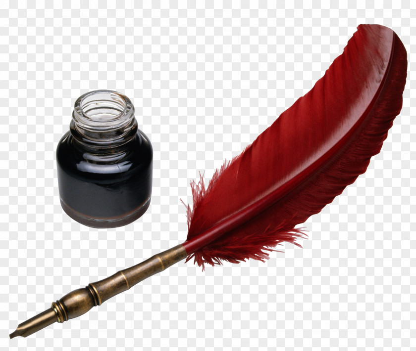 Feather Quill Paper Fountain Pen Writing PNG