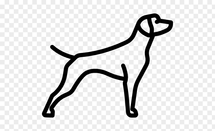 German Shorthaired Pointer Chesapeake Bay Retriever Dachshund Border Collie Animal PNG