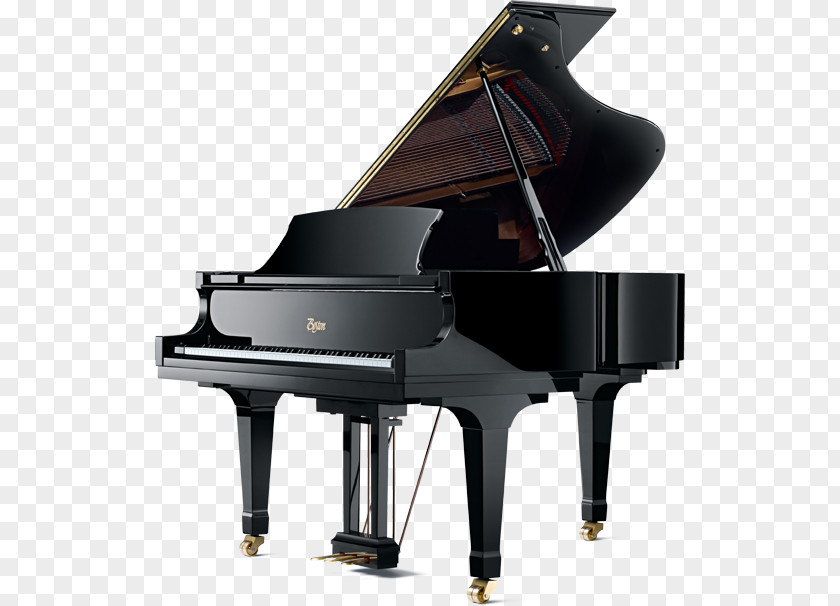 Piano Boston Steinway & Sons Grand Hall PNG