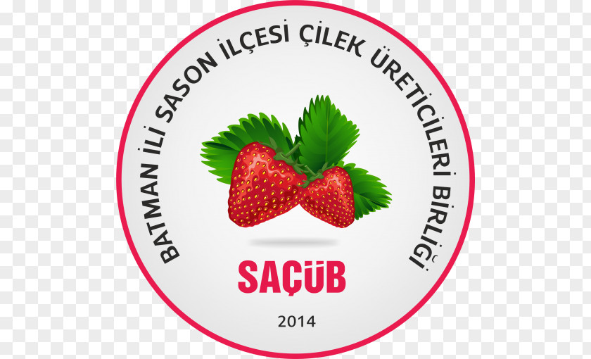 Sert Kabuklu Meyve Strawberry Logo Food Clip Art Brand PNG