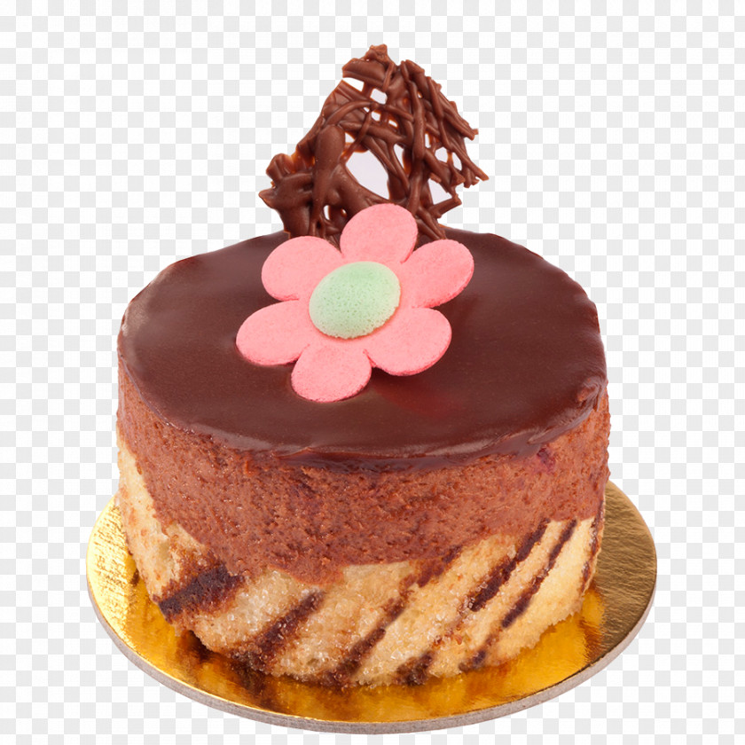 Chocolate Cake Mousse Torte Tart MINI PNG