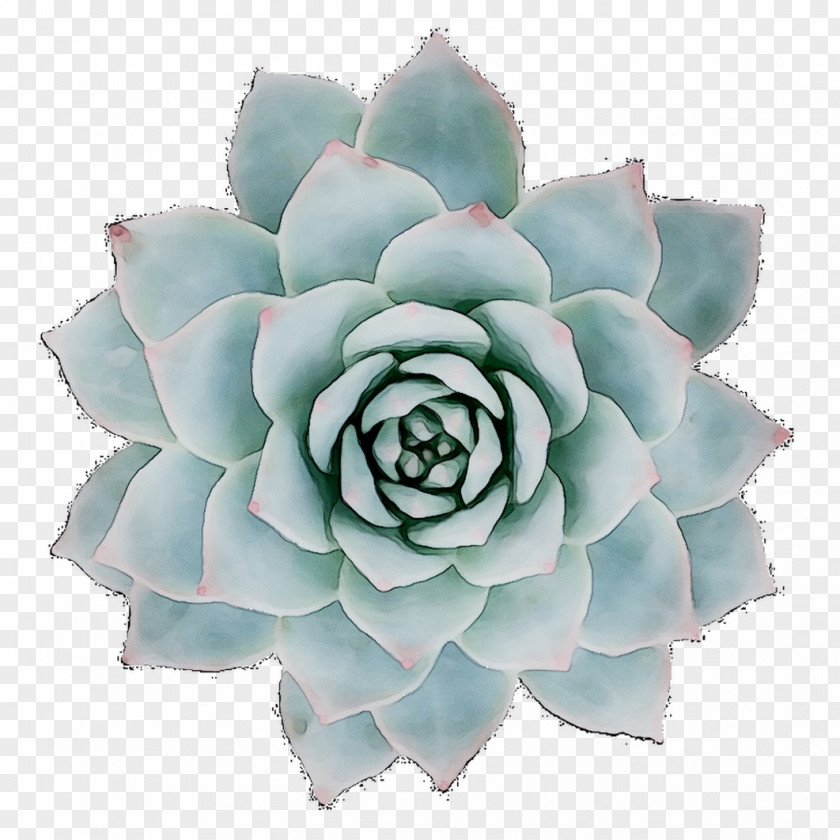 Cut Flowers Turquoise PNG