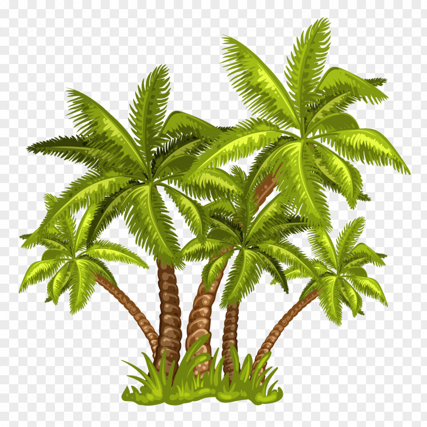Great Cartoon Coconut Tree Decoration Arecaceae Royalty-free Illustration PNG