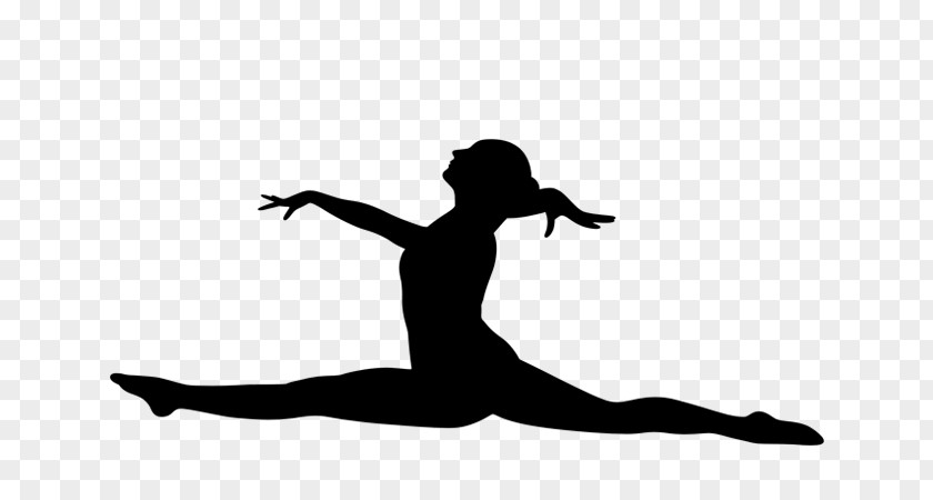 Gymnastics Artistic Sport Rings PNG
