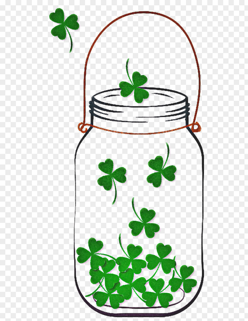 Plant Stem Water Bottle Drawing PNG