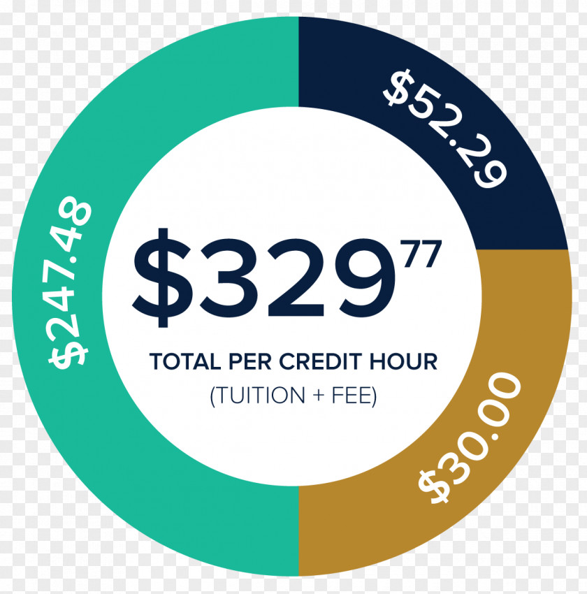 Student Florida Atlantic University Tuition Payments International College PNG