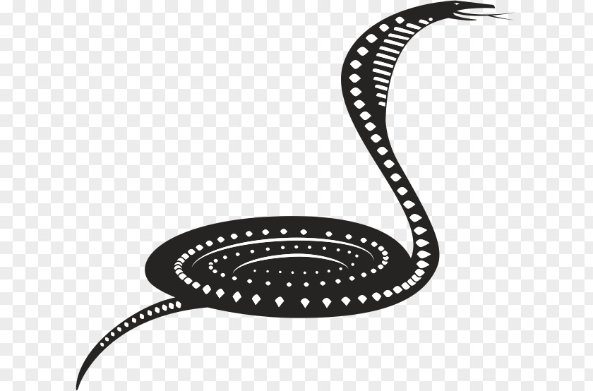 Bk Vector Snakes King Cobra Clip Art Graphics PNG