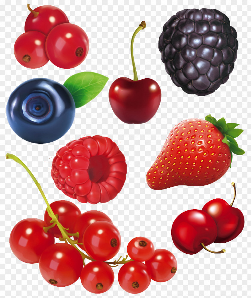 Cartoon Fruit Collection Frutti Di Bosco Blackberry PNG