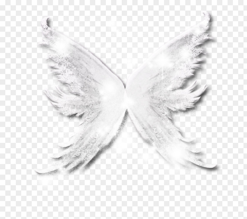 Fairy Wings White PNG