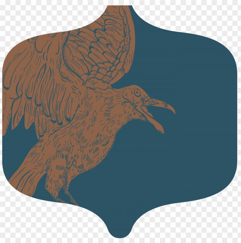 Griffin Eagle Image Paper Illustration Clothing PNG