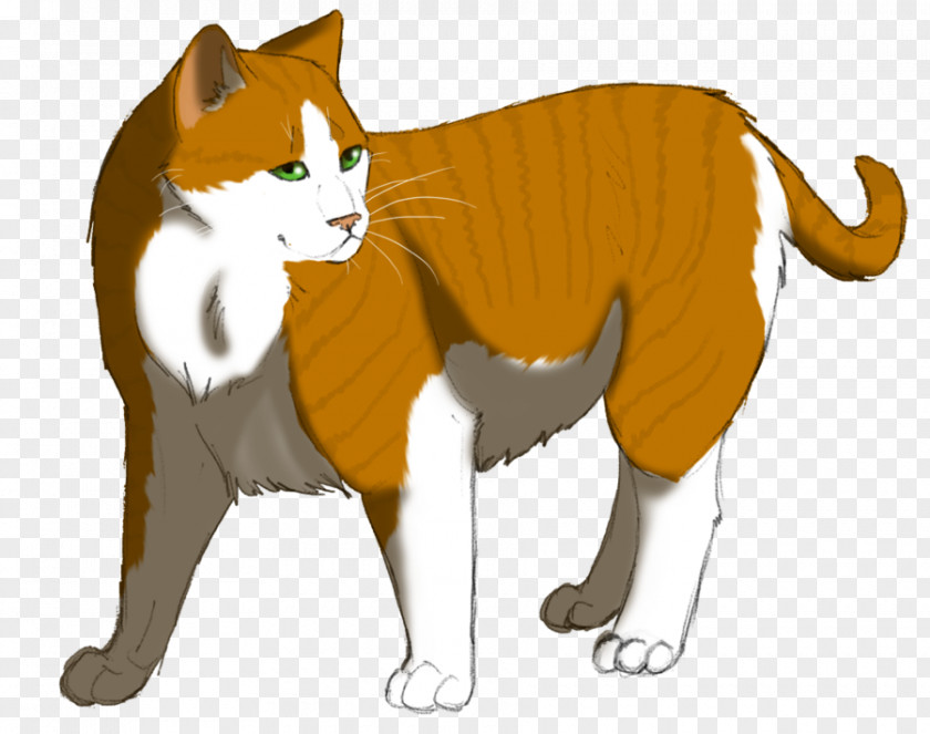 Leafstar Cat Whiskers Warriors Billystorm SkyClan's Destiny PNG