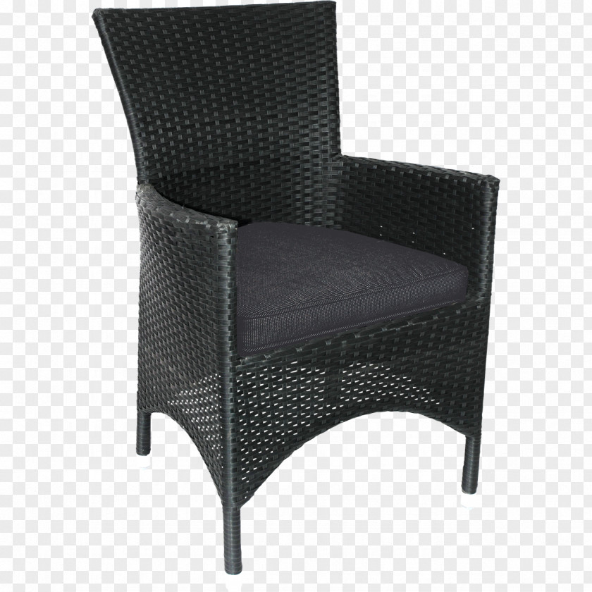 Wicker Garden Furniture Wing Chair Polyrattan PNG