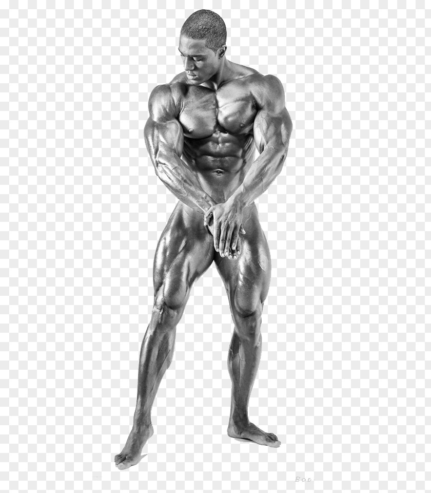 Bodybuilding Bodybuilding.com Physical Fitness Human Body Athlete PNG