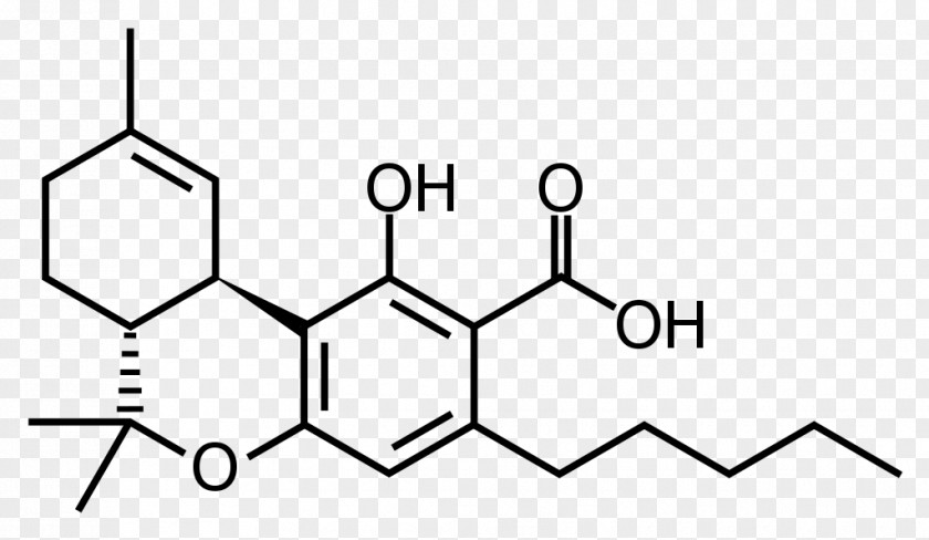 Cannabis Tetrahydrocannabinolic Acid Cannabinoid Cannabigerol PNG