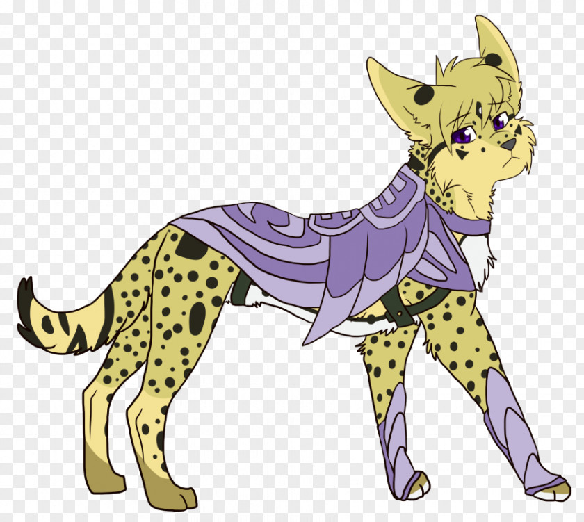 Cat Whiskers Cheetah Dog Macropodidae PNG