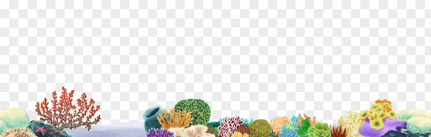 Coral Reefs Reef Desktop Wallpaper Clip Art PNG