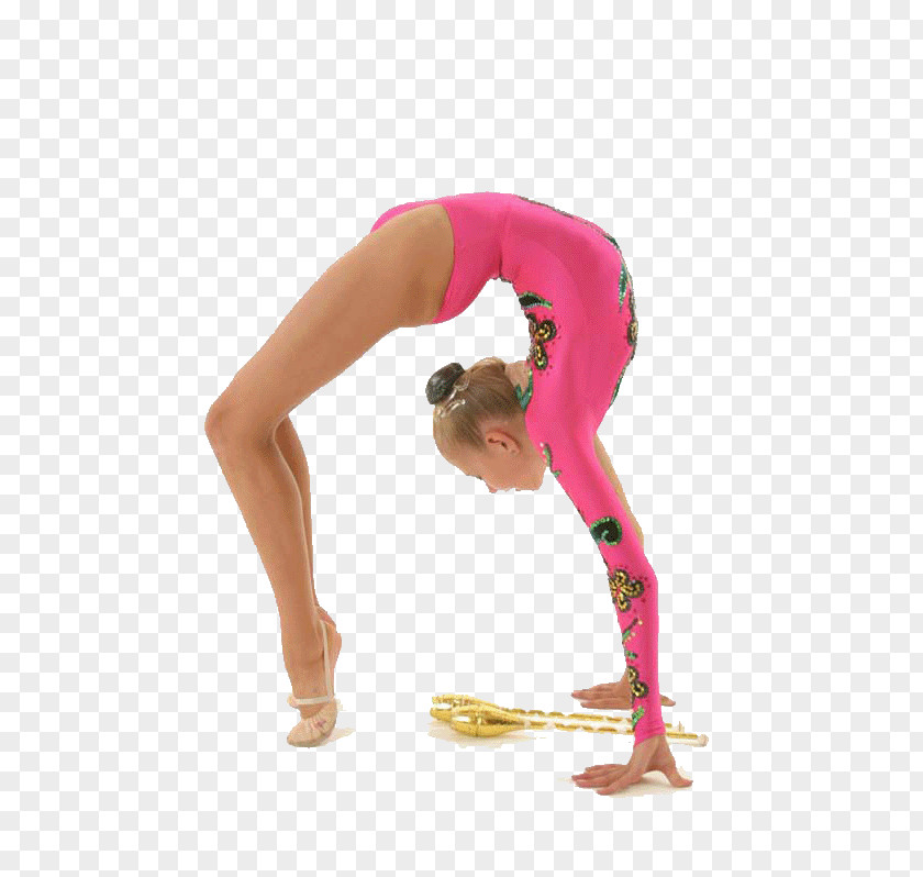 Gymnastics Rhythmic Sportart Olympic Sports PNG