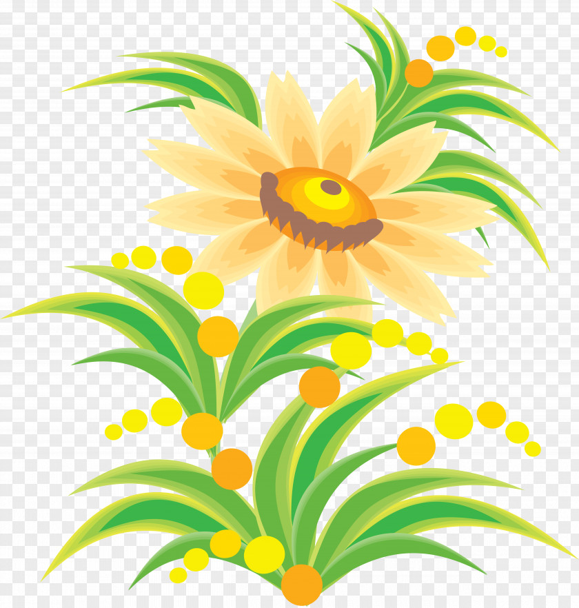 Hand Painted Flower Information PNG