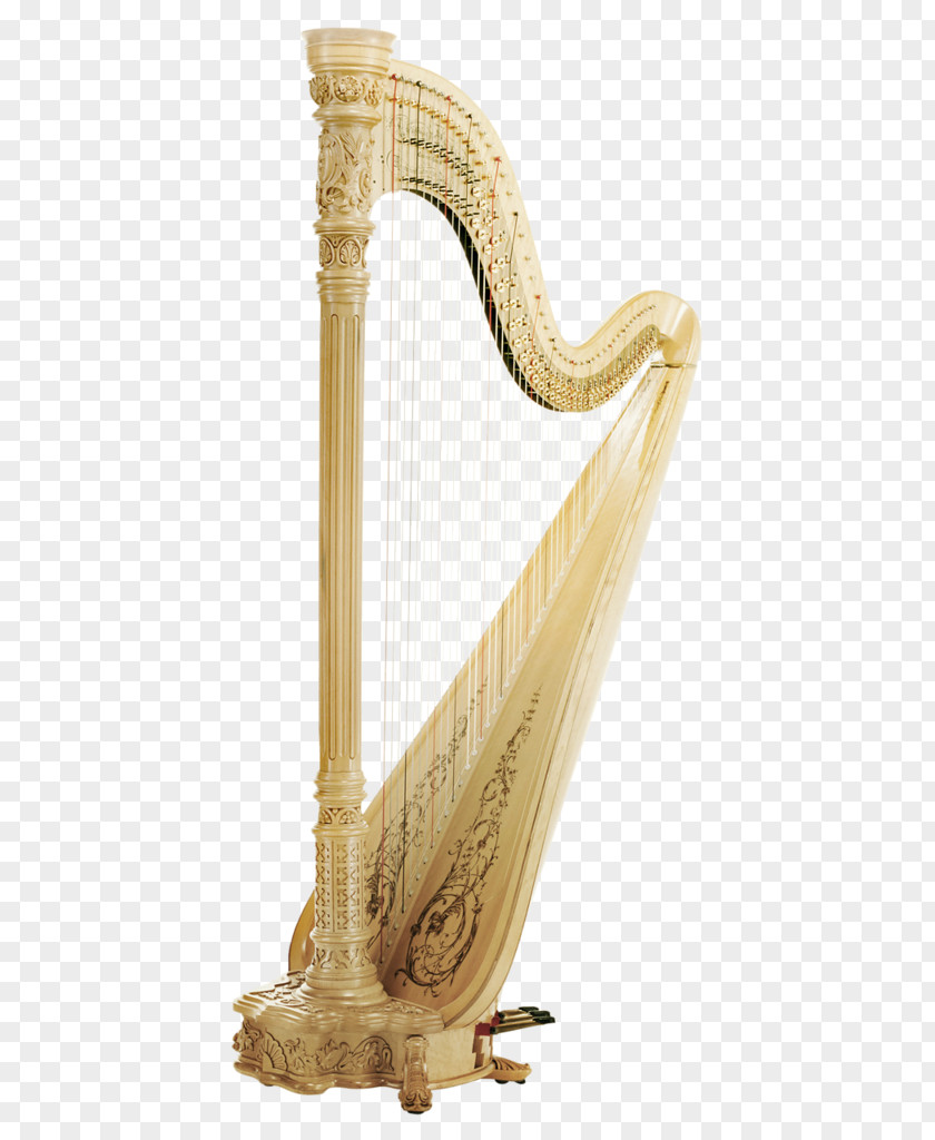 Harp Plucked String Instrument Musical Instruments PNG