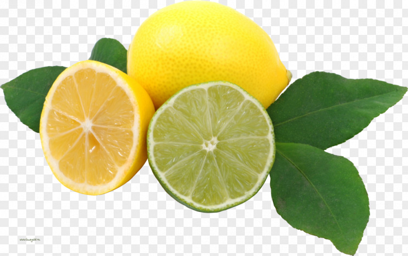 Lemon Lemonade Key Lime PNG