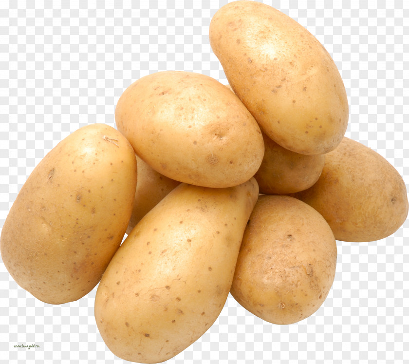 Potato Picture Clip Art PNG