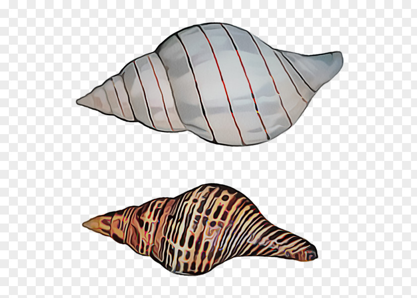 Shell Sea Snail Conch Shankha PNG