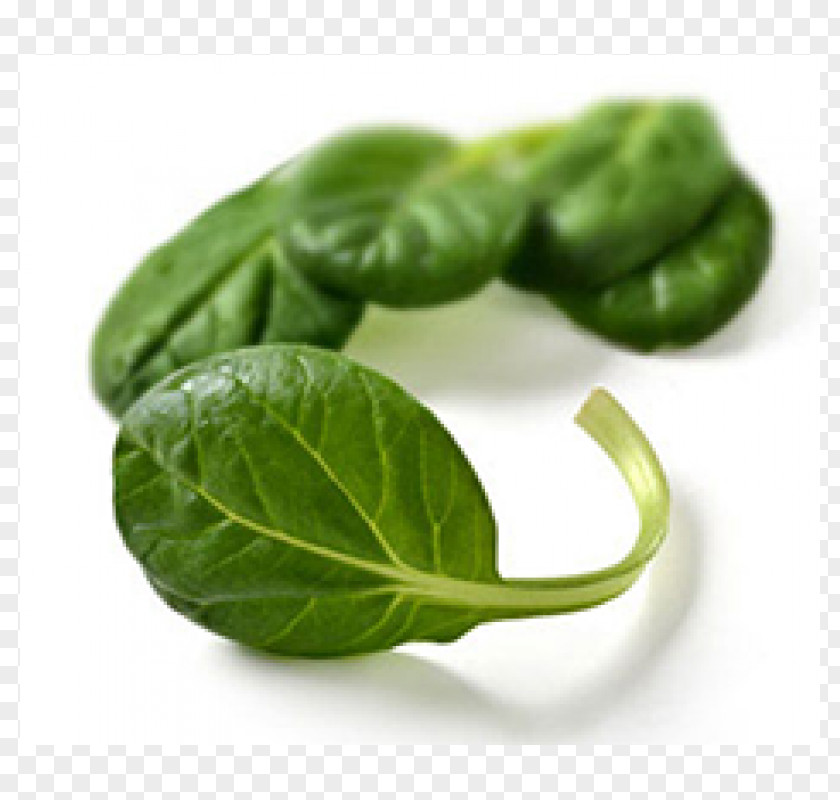 Vegetable Mesclun Spinach Tatsoi Leaf Lettuce PNG