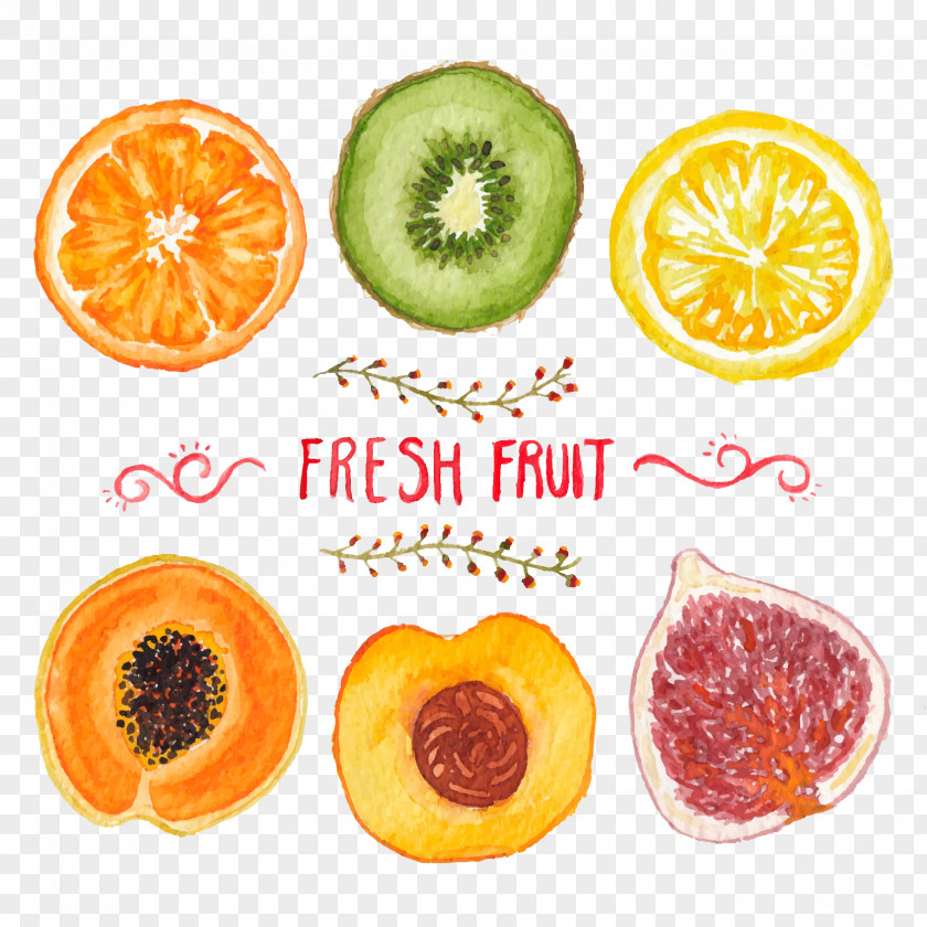 Bizarre Icon Fruit Orange Vegetarian Cuisine Clip Art Juice PNG